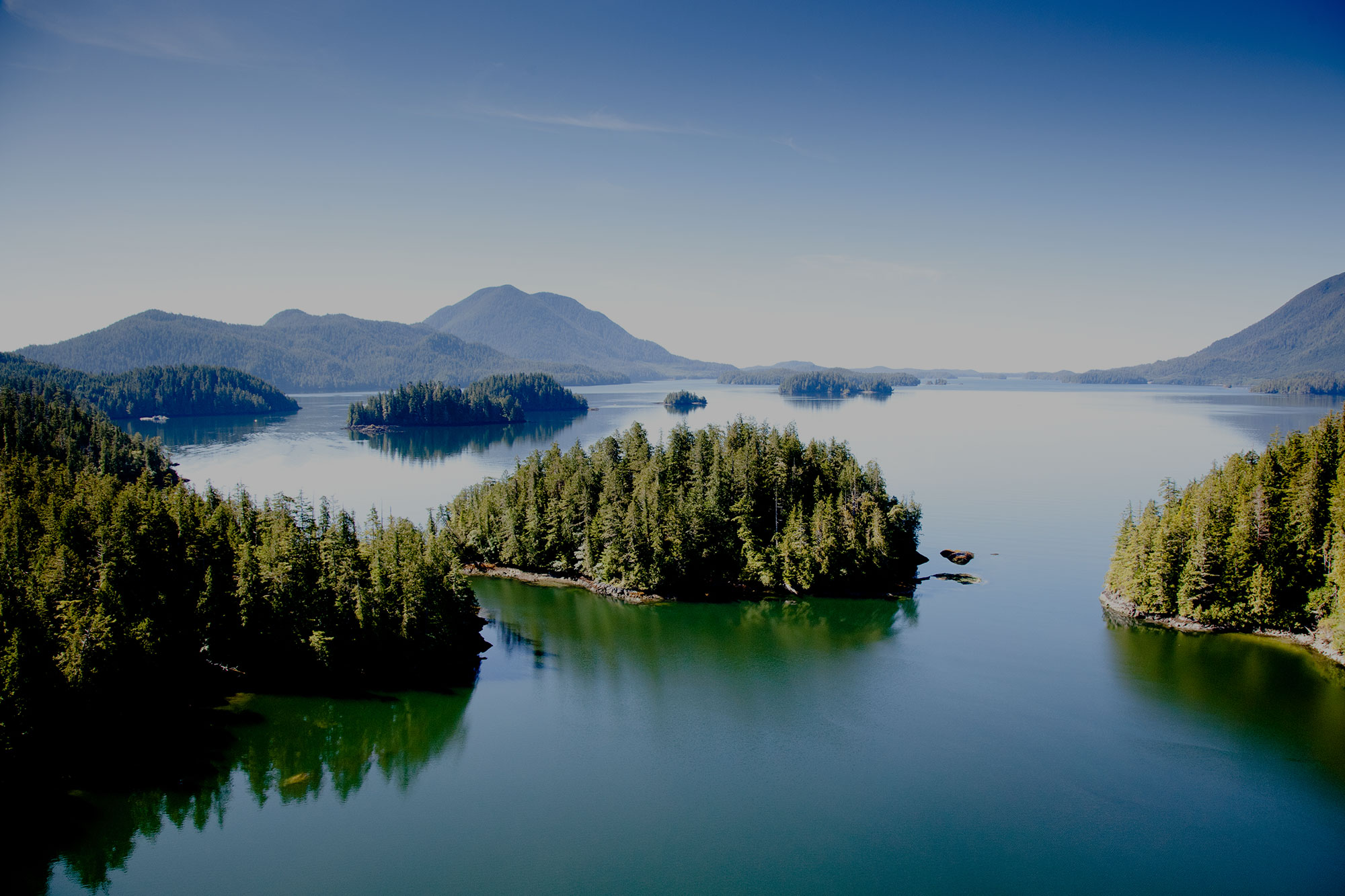 Thank you | Tofino Wilderness Resort