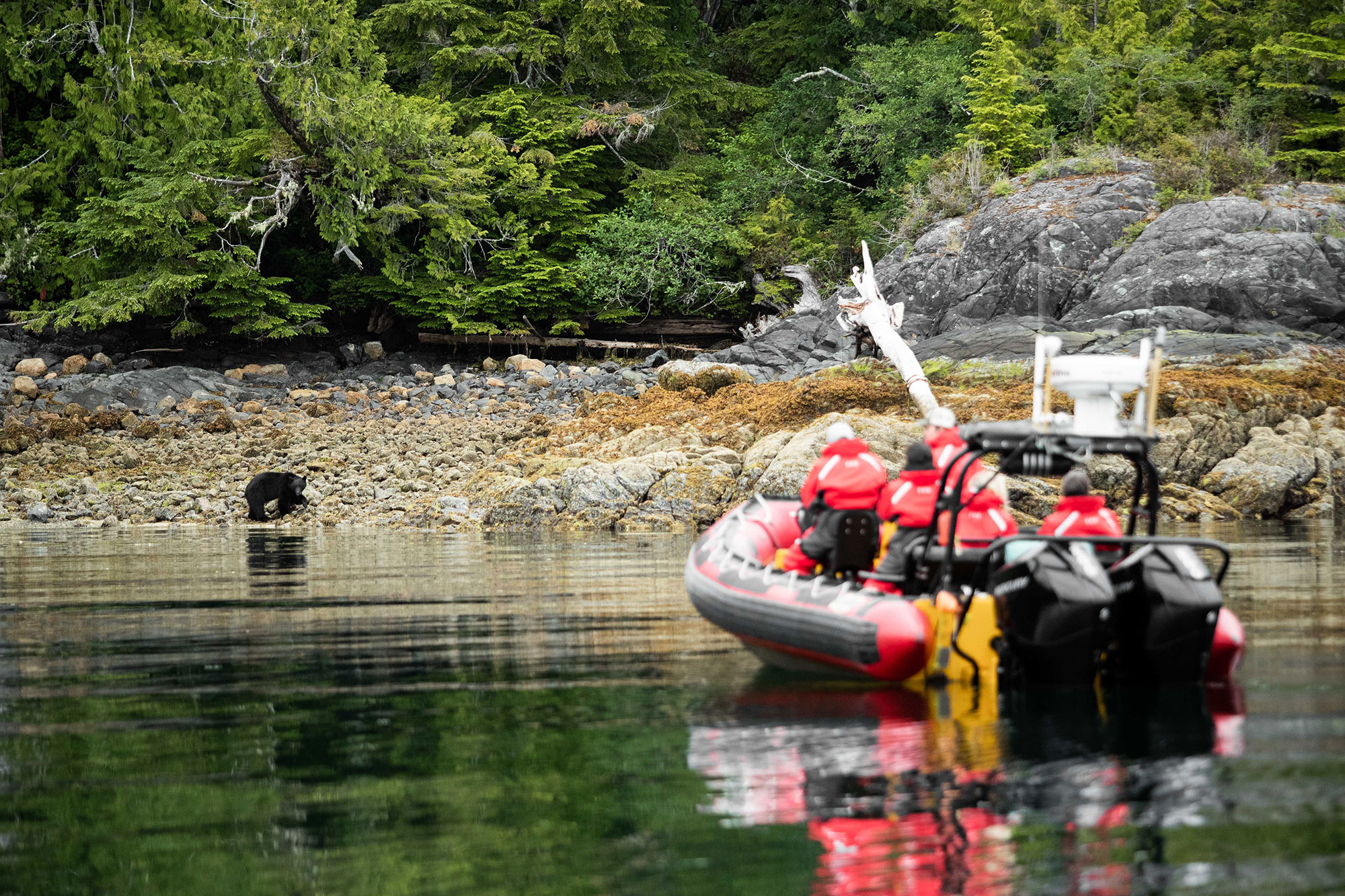 Experiences | Tofino Wilderness Resort